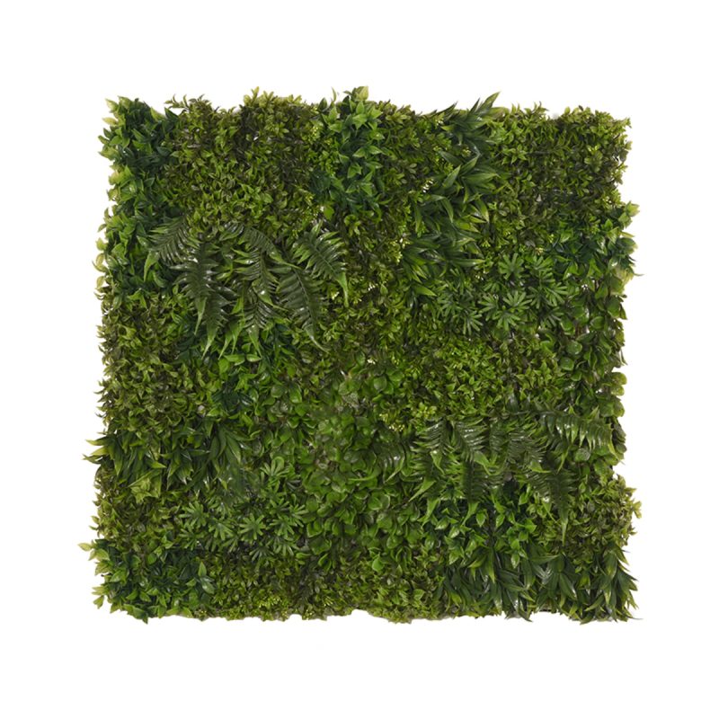 pro_72881_img_8537007